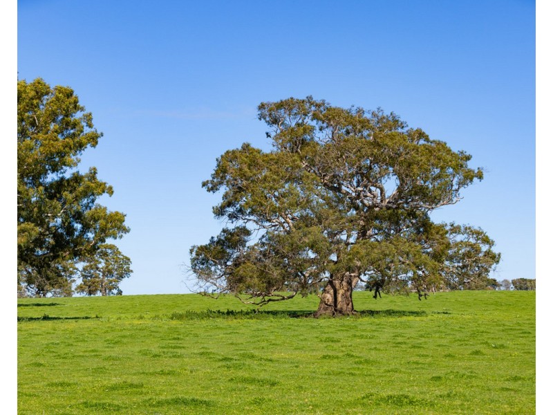 79 Calton Hill Road, Gritjurk VIC 3315