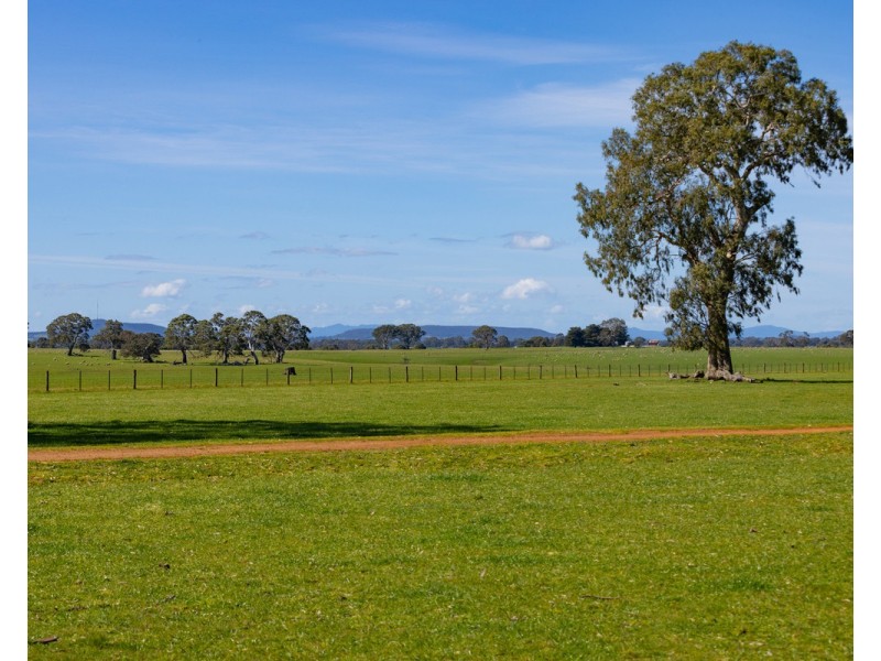 79 Calton Hill Road, Gritjurk VIC 3315