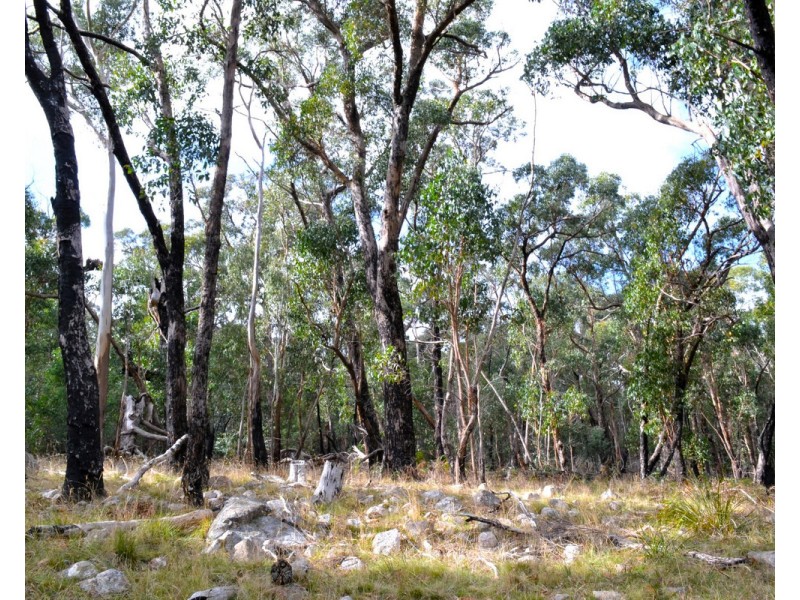 Youngs Road, Baynton VIC 3444