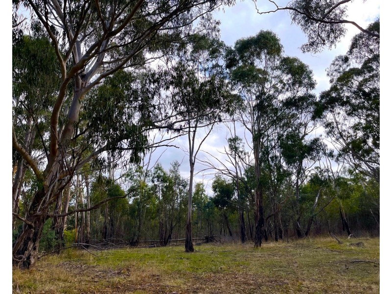 Youngs Road, Baynton VIC 3444