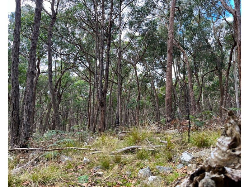 Youngs Road, Baynton VIC 3444