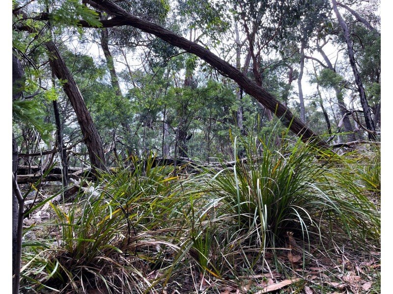 Youngs Road, Baynton VIC 3444