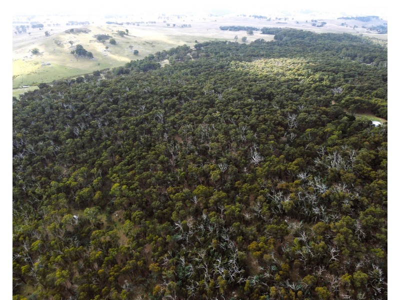 Youngs Road, Baynton VIC 3444