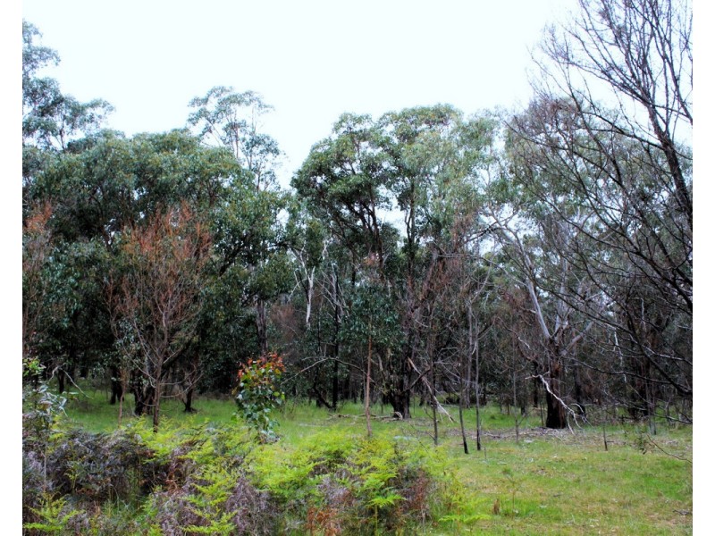 Youngs Road, Baynton VIC 3444