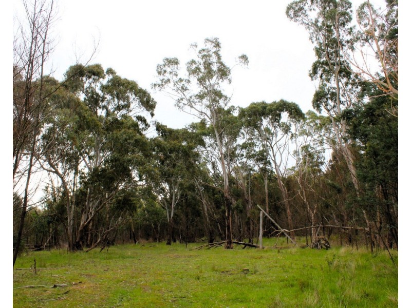 Youngs Road, Baynton VIC 3444