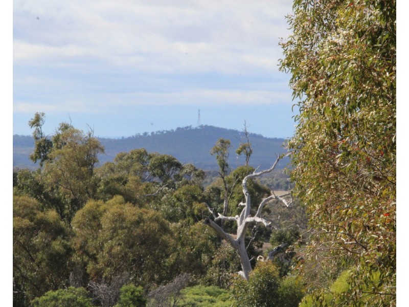 5 Wedderburn Serpentine Road, Glenalbyn VIC 3517