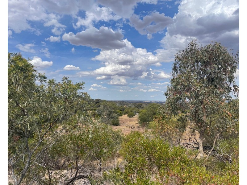 5 Wedderburn Serpentine Road, Glenalbyn VIC 3517