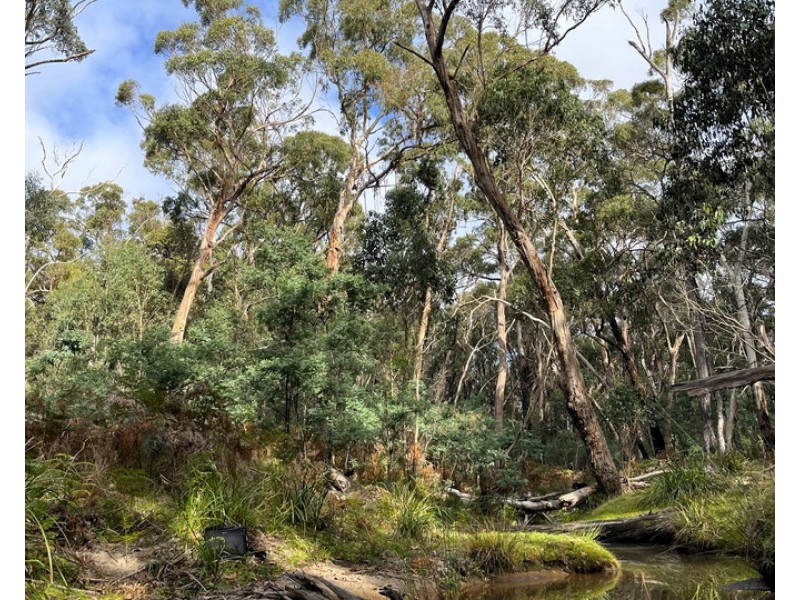 Hardings Road, Nulla Vale VIC 3435
