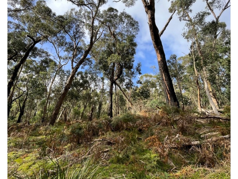 Hardings Road, Nulla Vale VIC 3435