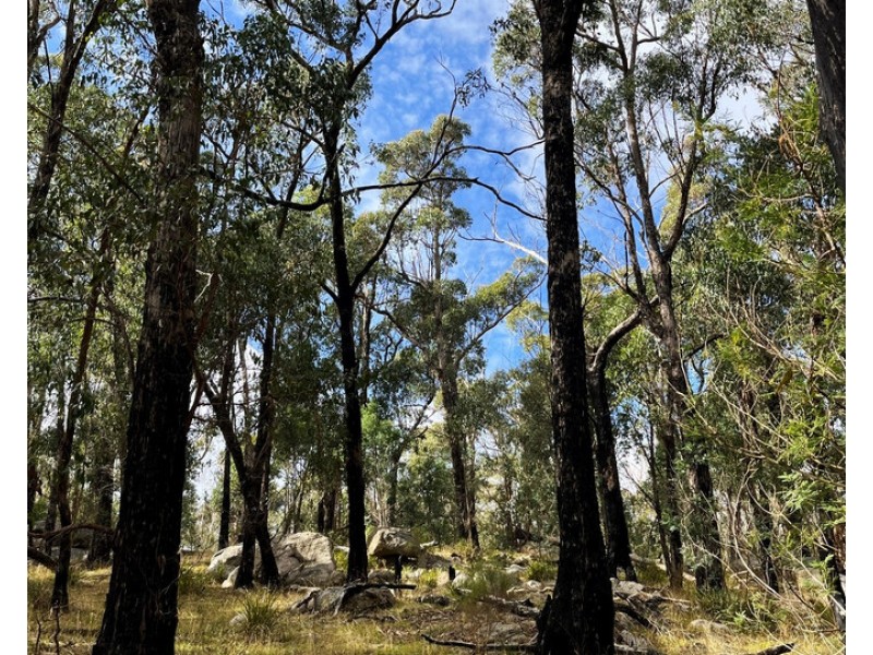 Hardings Road, Nulla Vale VIC 3435