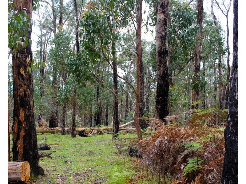 Hardings Road, Nulla Vale VIC 3435