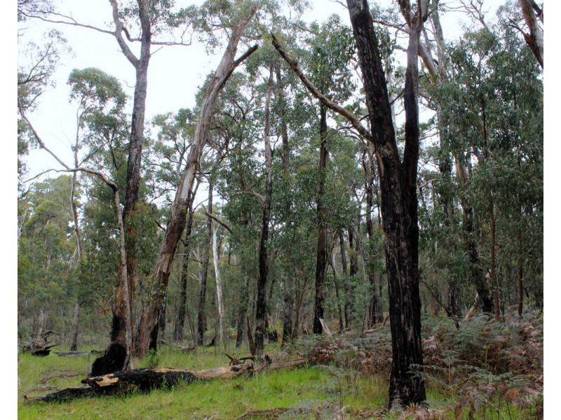 Hardings Road, Nulla Vale VIC 3435