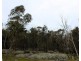 Hardings Road, Nulla Vale VIC 3435