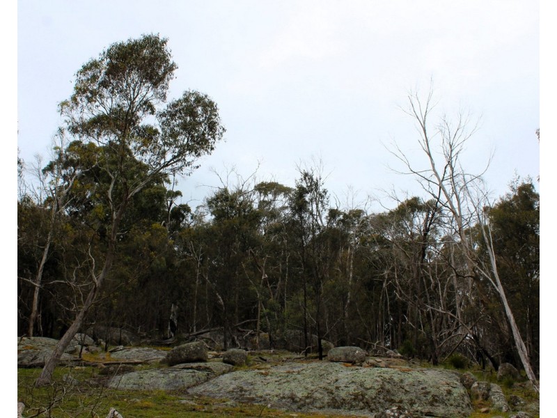 Hardings Road, Nulla Vale VIC 3435