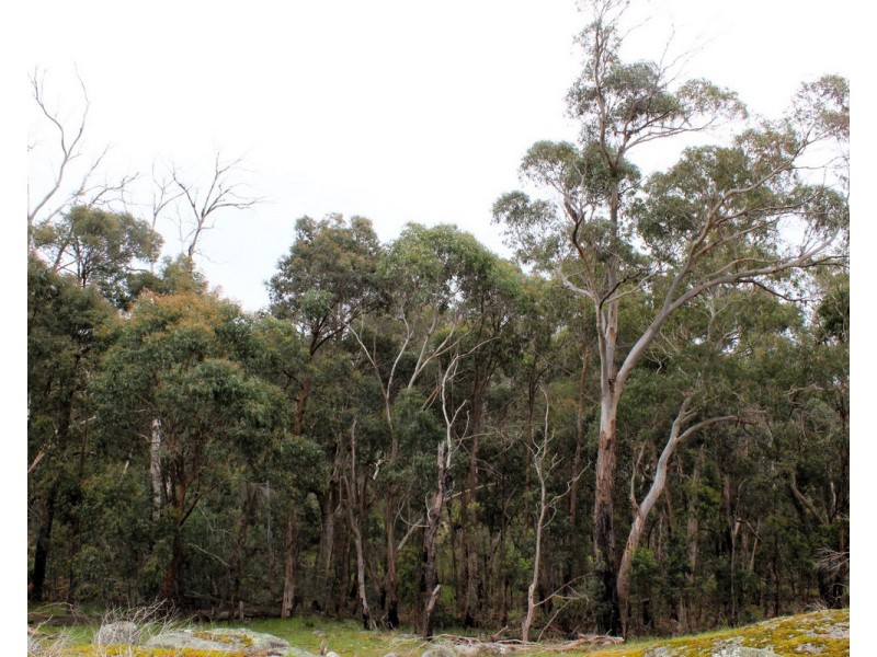 Hardings Road, Nulla Vale VIC 3435