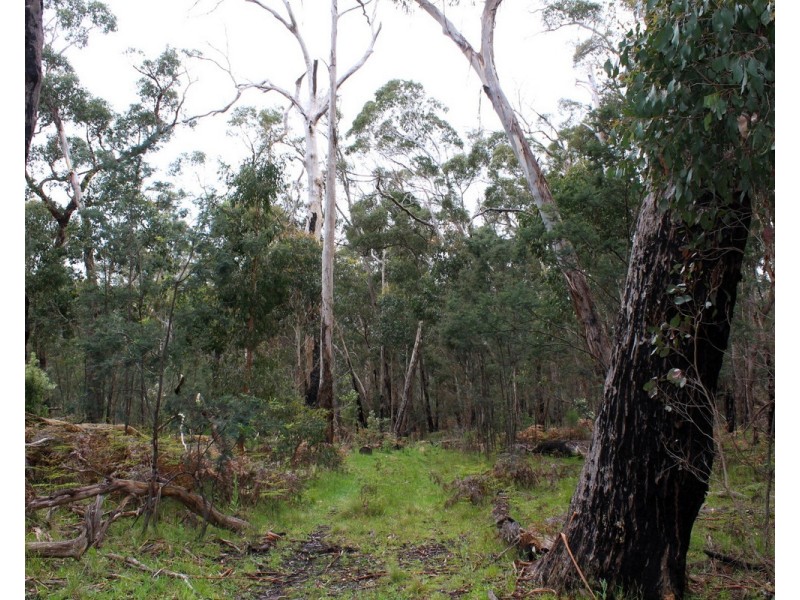 Hardings Road, Nulla Vale VIC 3435