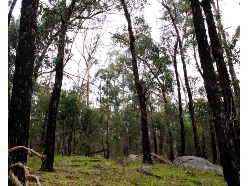 Hardings Road, Nulla Vale VIC 3435