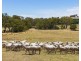 219 Gibsons Road, Tarrayoukyan VIC 3315