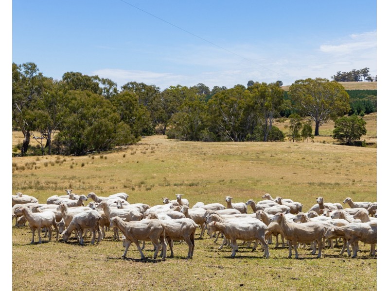 219 Gibsons Road, Tarrayoukyan VIC 3315