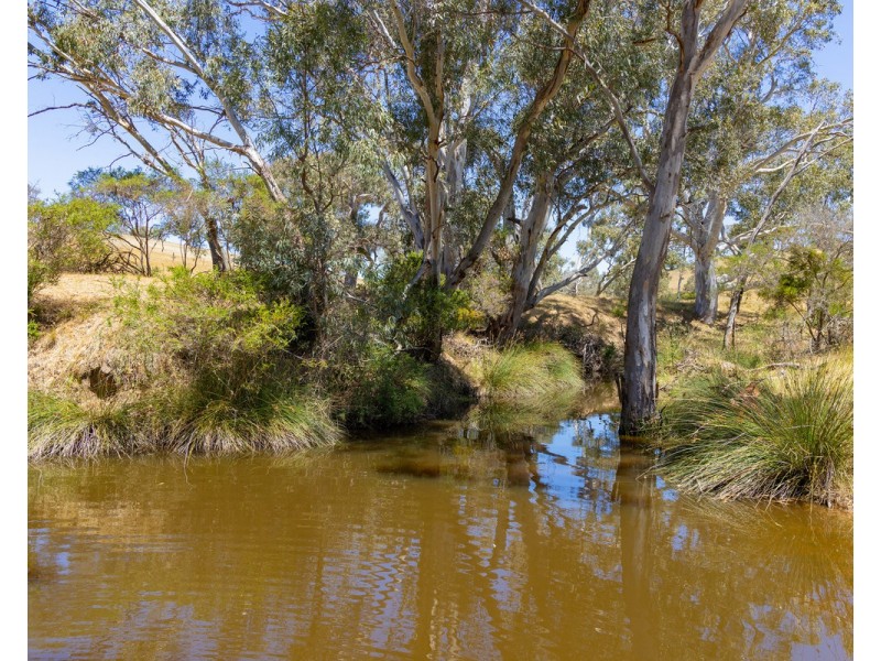 219 Gibsons Road, Tarrayoukyan VIC 3315