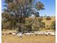 219 Gibsons Road, Tarrayoukyan VIC 3315