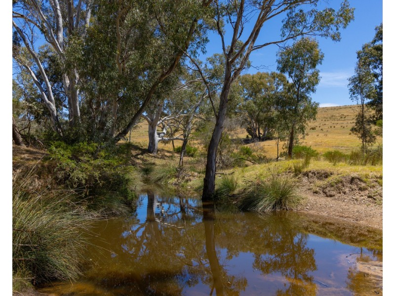219 Gibsons Road, Tarrayoukyan VIC 3315