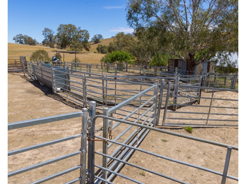 219 Gibsons Road, Tarrayoukyan VIC 3315