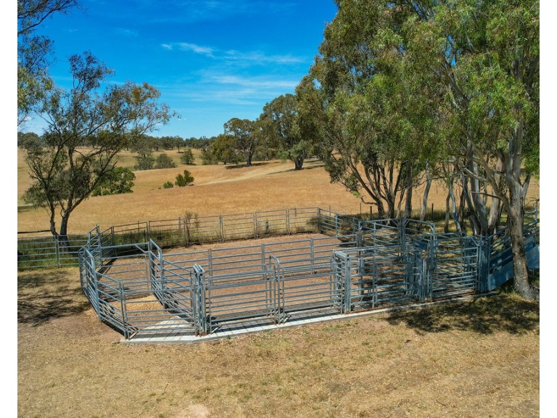 219 Gibsons Road, Tarrayoukyan VIC 3315