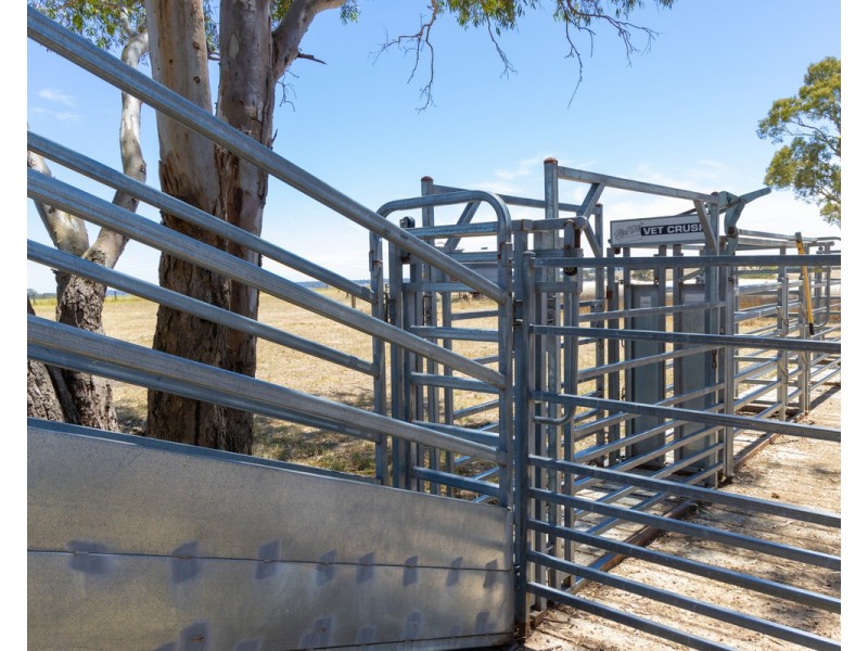 219 Gibsons Road, Tarrayoukyan VIC 3315