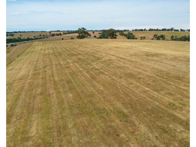 219 Gibsons Road, Tarrayoukyan VIC 3315