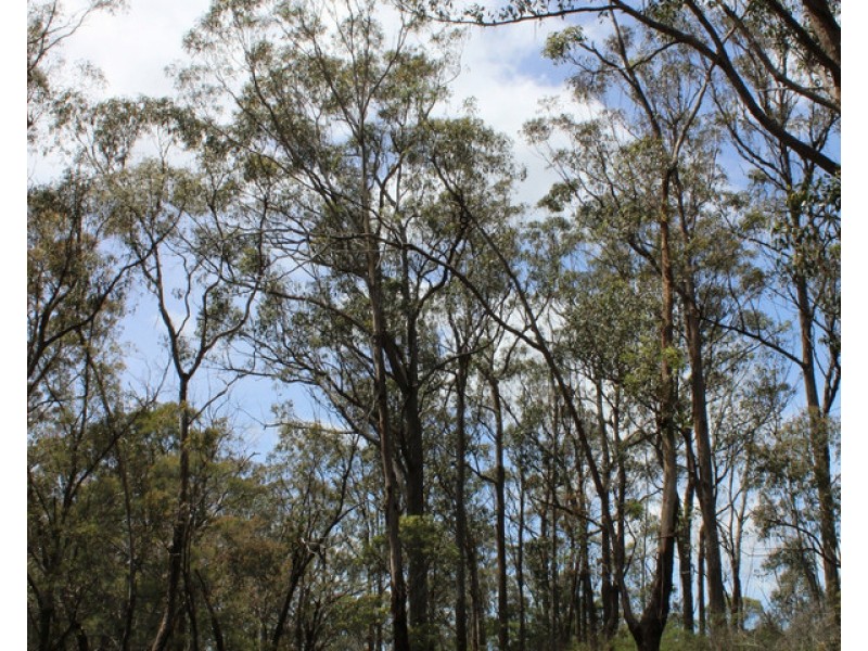 South Gippsland Highway, Woodside VIC 3874