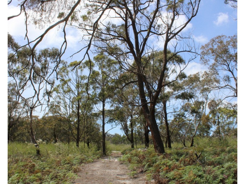 South Gippsland Highway, Woodside VIC 3874