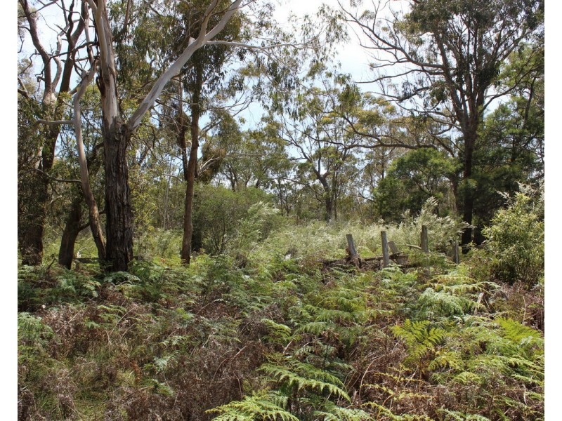 South Gippsland Highway, Woodside VIC 3874