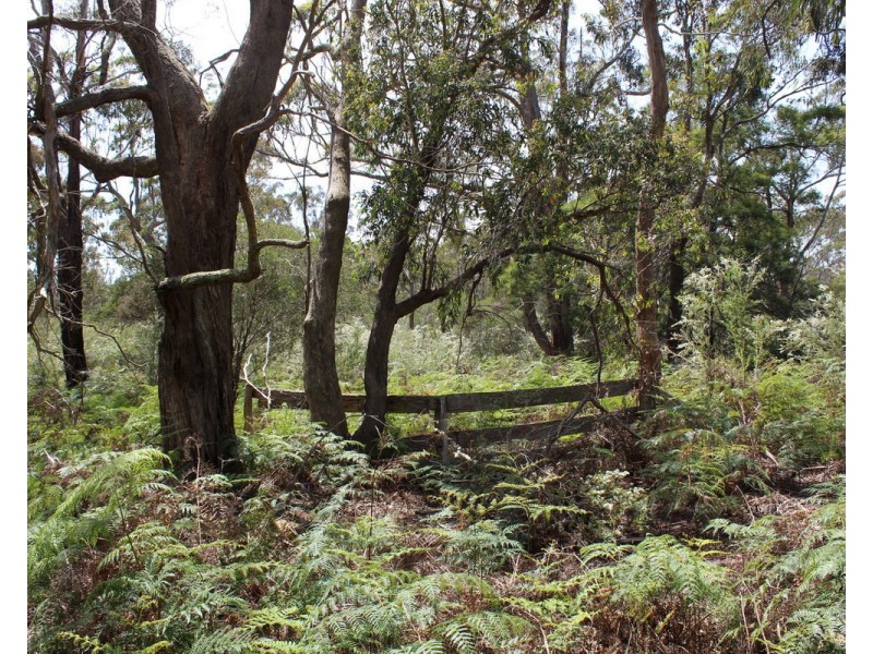South Gippsland Highway, Woodside VIC 3874