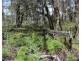 South Gippsland Highway, Woodside VIC 3874