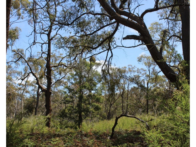 South Gippsland Highway, Woodside VIC 3874