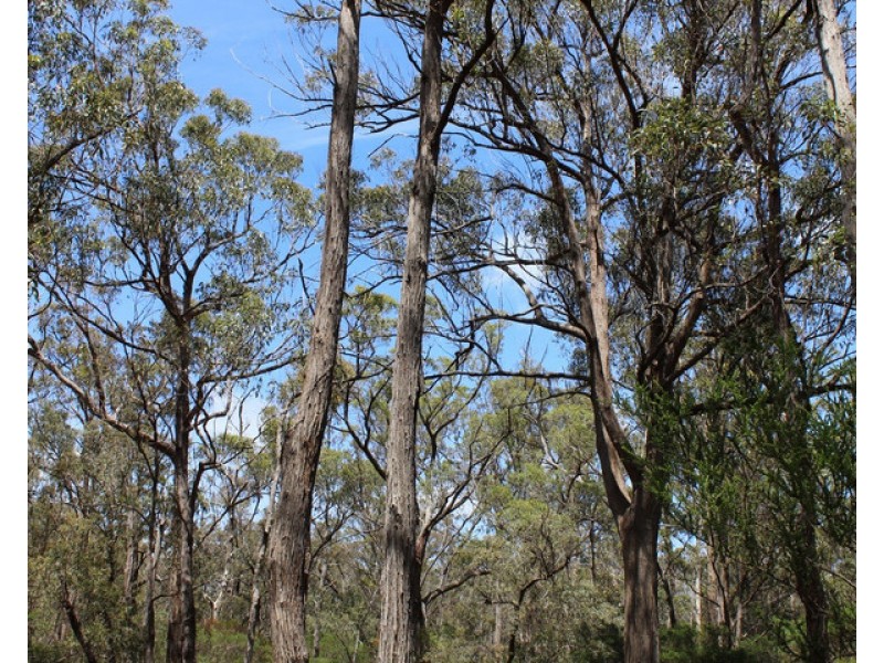 South Gippsland Highway, Woodside VIC 3874