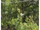 South Gippsland Highway, Woodside VIC 3874