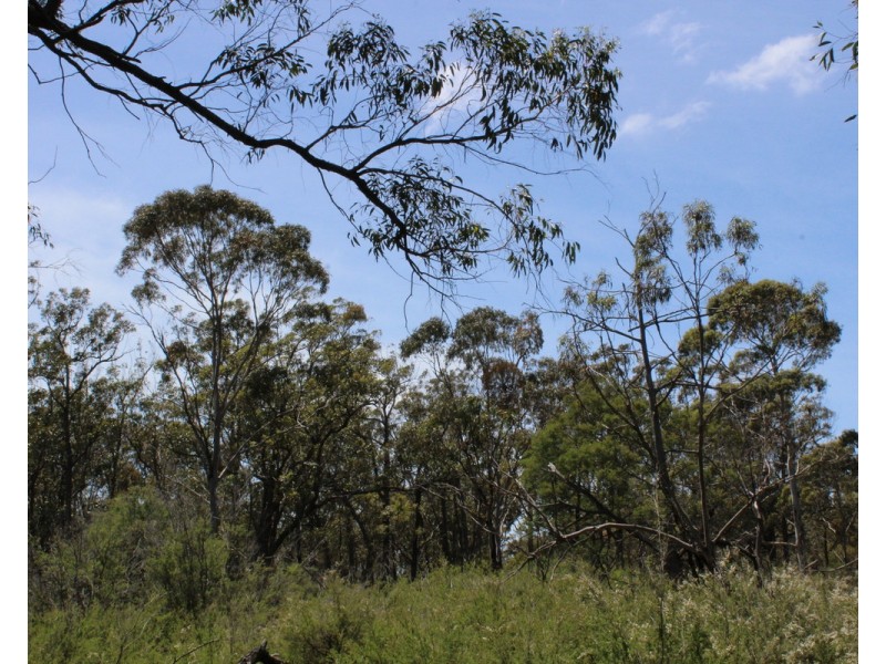 South Gippsland Highway, Woodside VIC 3874