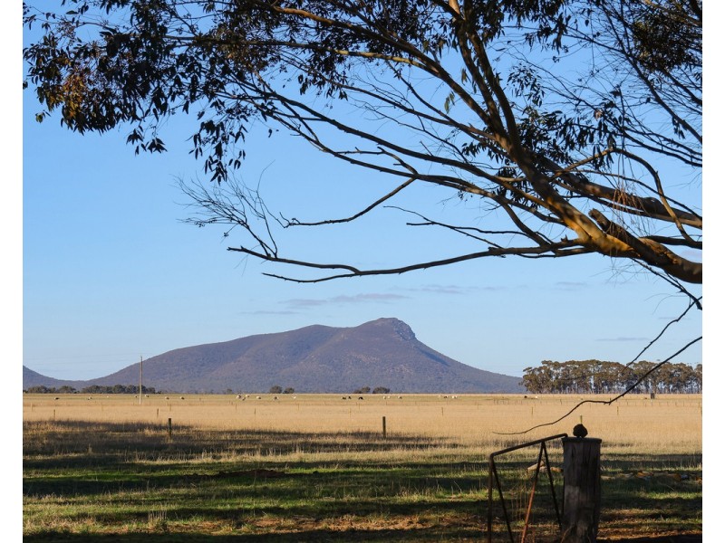 993 McIntyres Crossing Road, Dunkeld VIC 3294