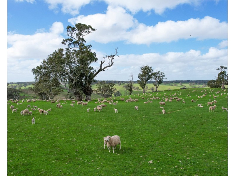 3320 Casterton-Edenhope Road, Chetwynd VIC 3312