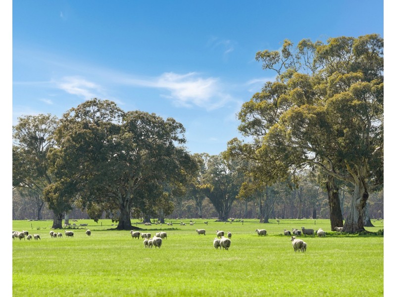 813 Yarramyljup Road, Rocklands VIC 3401