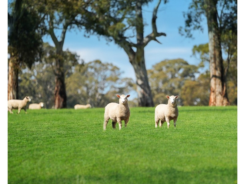 813 Yarramyljup Road, Rocklands VIC 3401