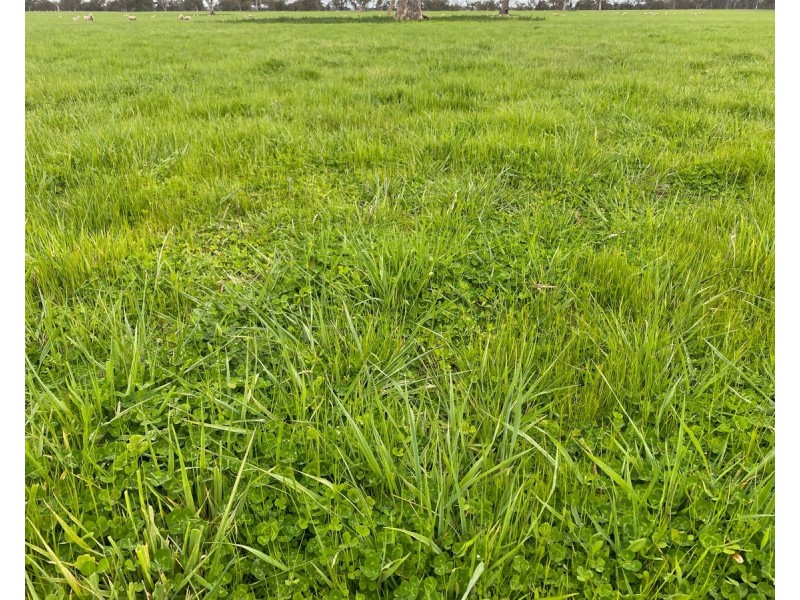 813 Yarramyljup Road, Rocklands VIC 3401