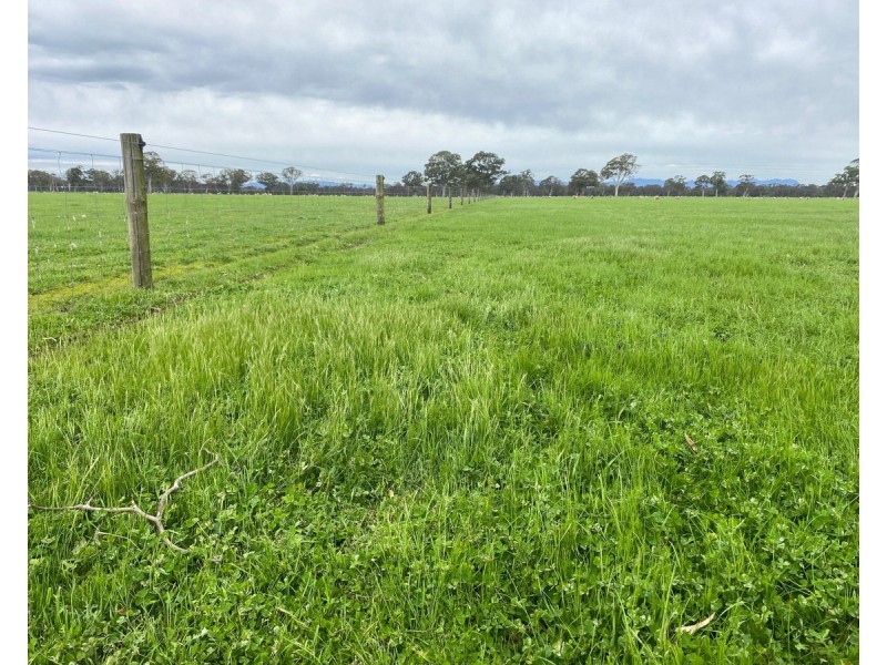 813 Yarramyljup Road, Rocklands VIC 3401