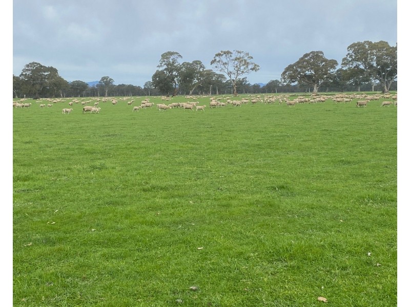 813 Yarramyljup Road, Rocklands VIC 3401