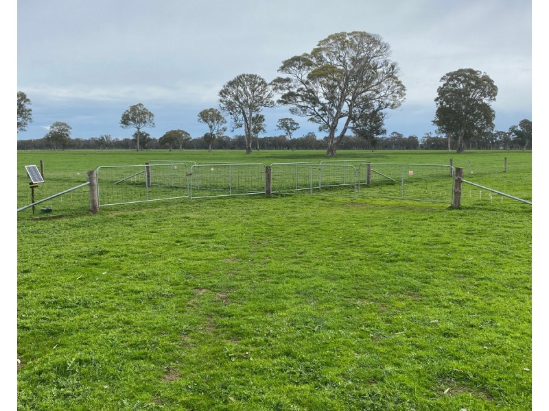 813 Yarramyljup Road, Rocklands VIC 3401