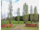 555 Mill Road, Strathkellar VIC 3301