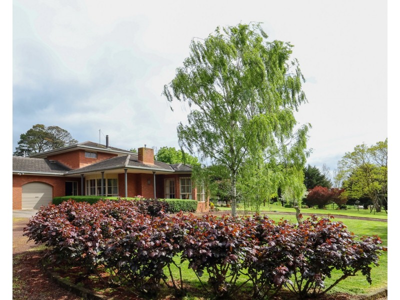 555 Mill Road, Strathkellar VIC 3301