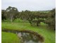 649 Coleraine – Balmoral Road, Wootong Vale VIC 3315